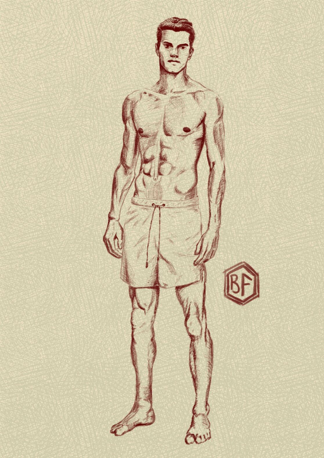 Dessin numérique. Homme. Muscles. Anatomie.