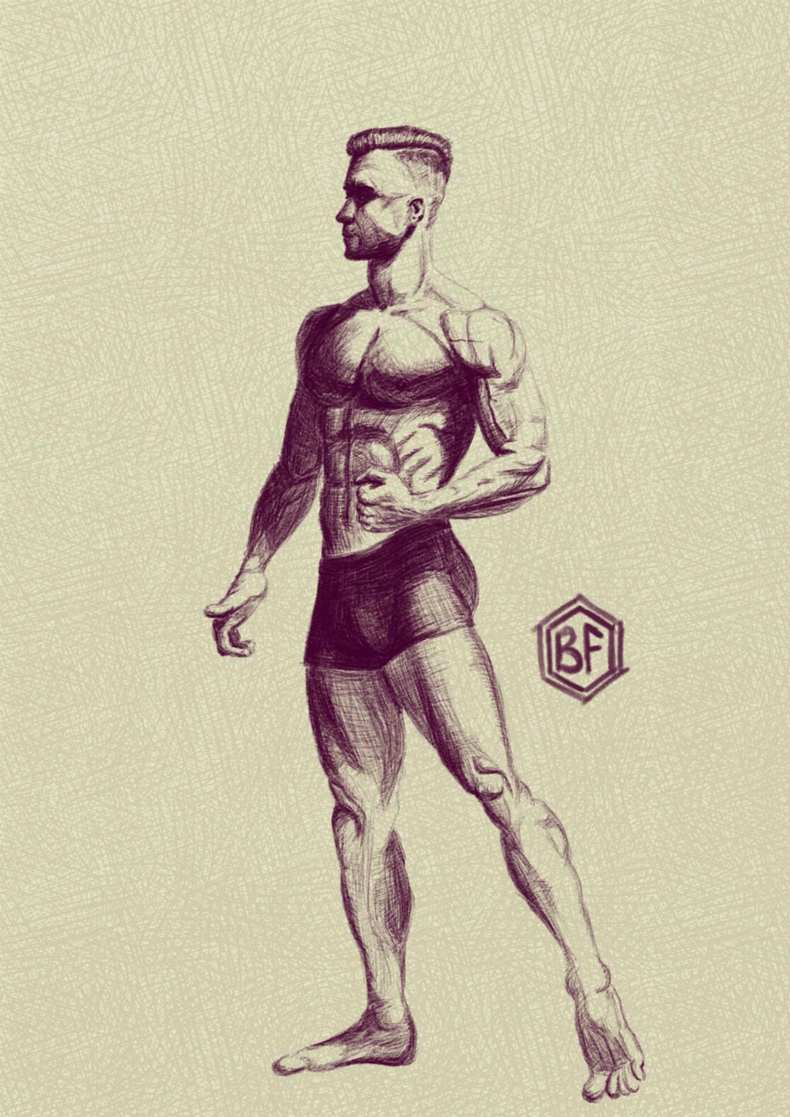 Dessin numérique. Homme. Muscles. Anatomie.